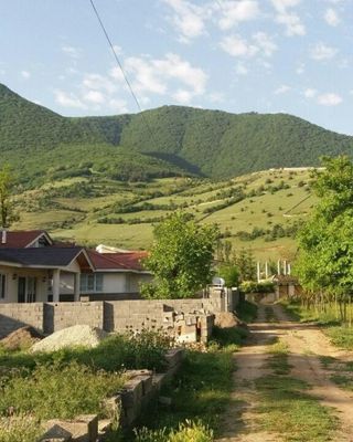 جنگل مجل کلاردشت جنگل مجل کلاردشت