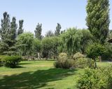 بوستان ولایت تهران بوستان ولایت تهران