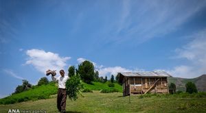 اولسبلنگاه ماسال اولسبلنگاه ماسال