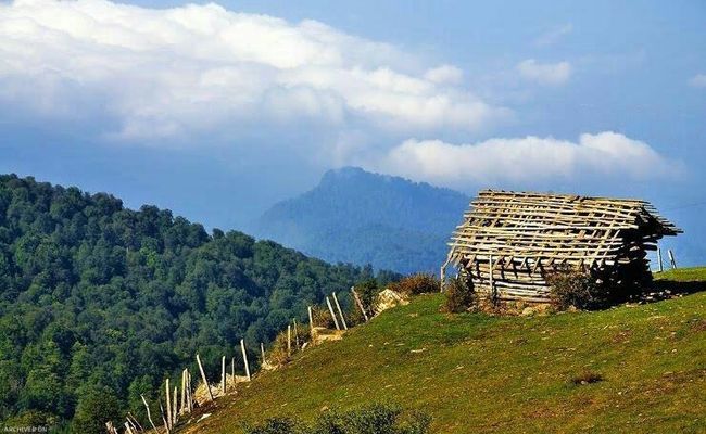 جنگل مجل کلاردشت جنگل مجل کلاردشت