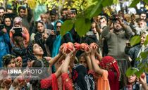 روستای خانقاه جشن انار روستای خانقاه جشن انار