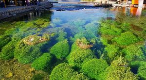 چشمه دیمه کوهرنگ چشمه دیمه کوهرنگ