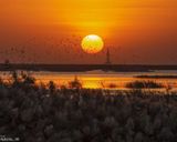 تالاب هورالعظیم تالاب هورالعظیم