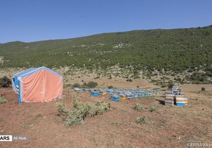 ییلاق اوپرت سمنان