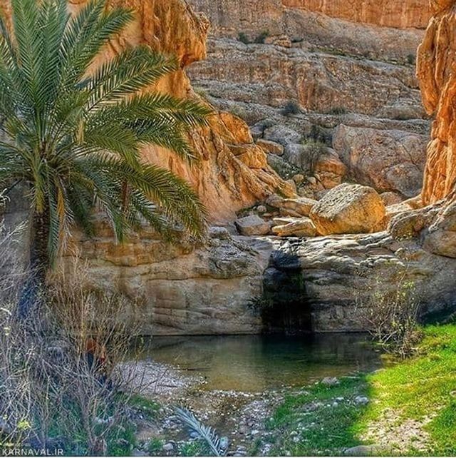 امامزاده (پیر) بی بی بانو