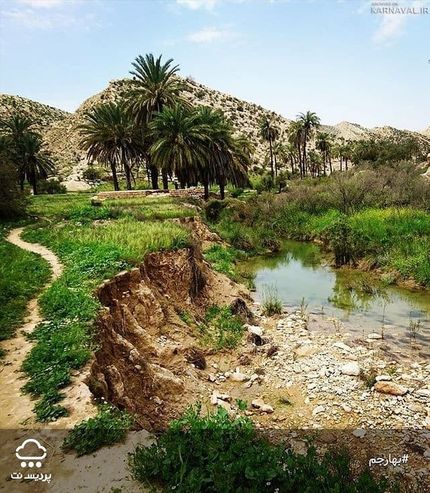 گلوکلات