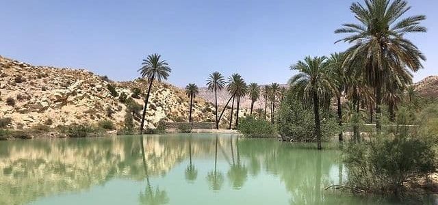 مائلورد