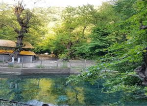 چشمه ورگینه وا ساری چشمه ورگینه وا ساری