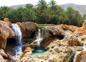 چشمه آبگرم و مجتمع تفریحی گنو بندر عباس چشمه آبگرم و مجتمع تفریحی گنو بندر عباس