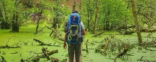 مرداب دیوک مرداب دیوک