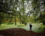 مرداب دیوک مرداب دیوک