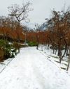 پارک گلابدره تهران پارک گلابدره تهران