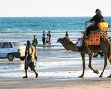 جزیره ناز قشم جزیره ناز قشم