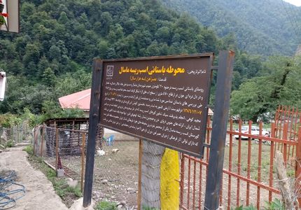 اسب ریسه ماسال