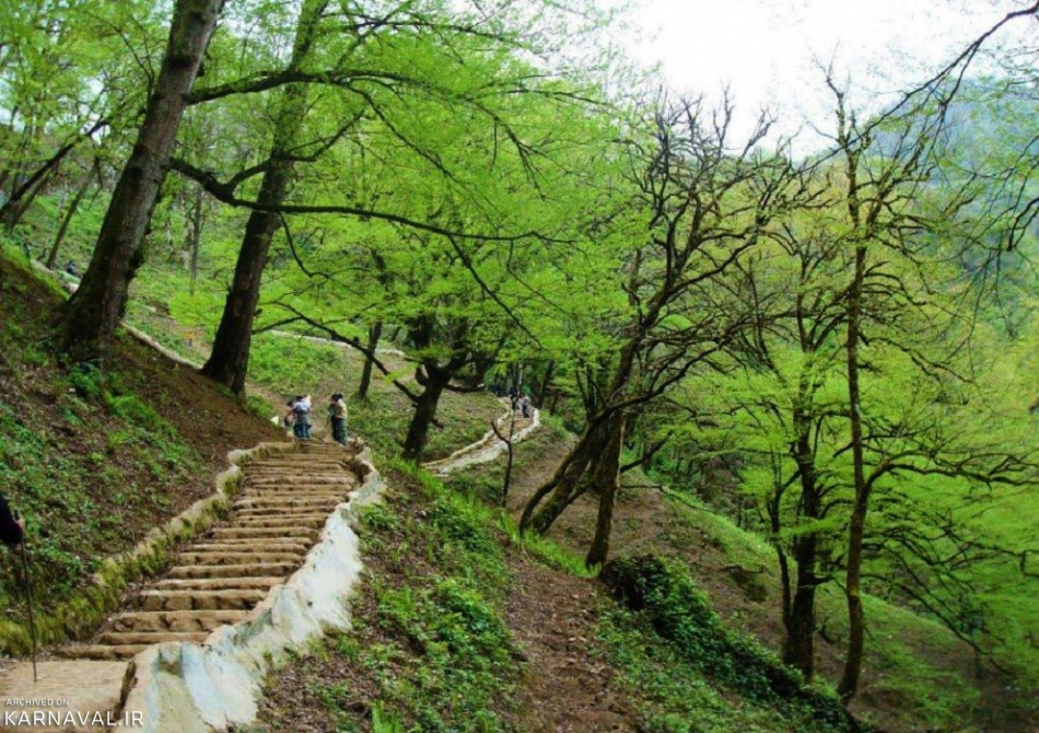 پارک جنگلی ریزه‌مندان ماسال