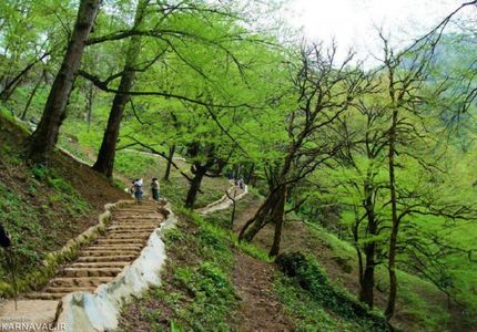 پارک جنگلی ریزهمندان ماسال