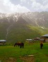 روستای نوشا تنکابن روستای نوشا تنکابن
