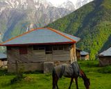 روستای نوشا تنکابن روستای نوشا تنکابن