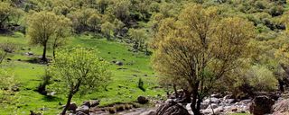 آبشار کبوتر لو لرستان آبشار کبوتر لو لرستان
