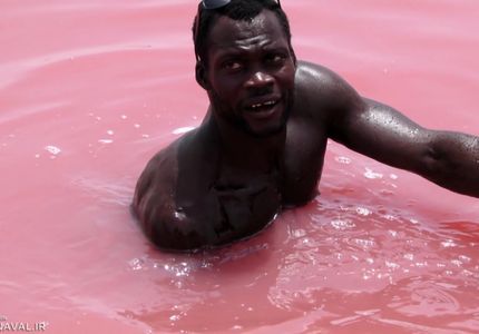 شنا در دریاچه صورتی هیلیر