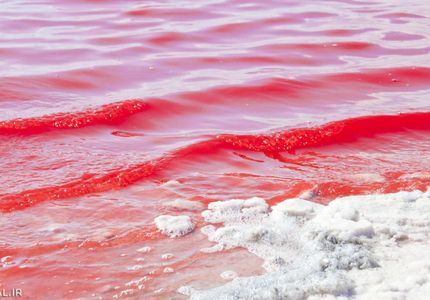 دریاچه صورتی استرالیا