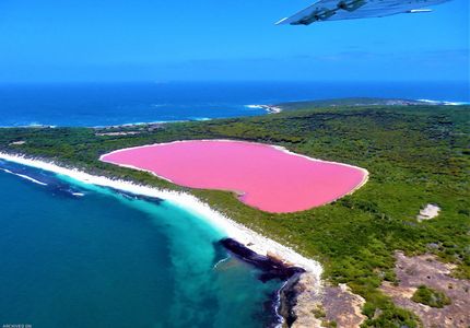 برکه صورتی استرالیا