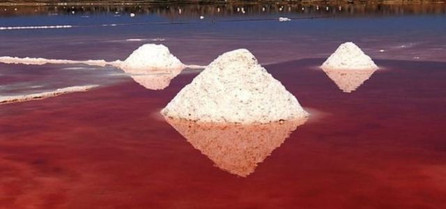 نمک های دریاچه