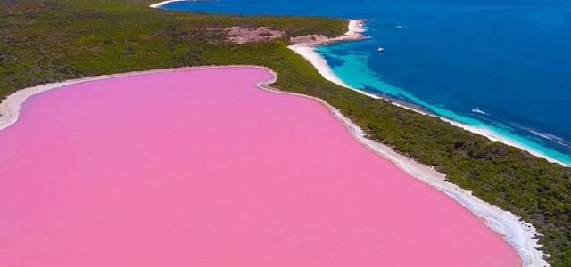 دریاچه صورتی هیلیر