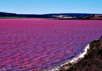 برکه صورتی استرالیا