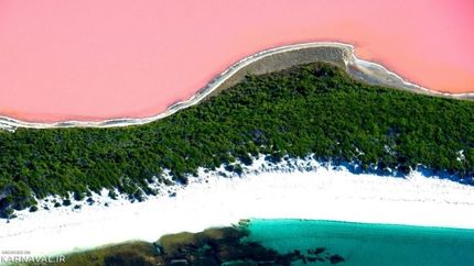 دریاچه صورتی هیلیر استرالیا