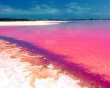 دریاچه صورتی هیلیر دریاچه صورتی هیلیر