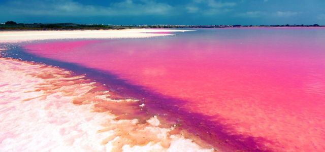 دریاچه صورتی هیلیر