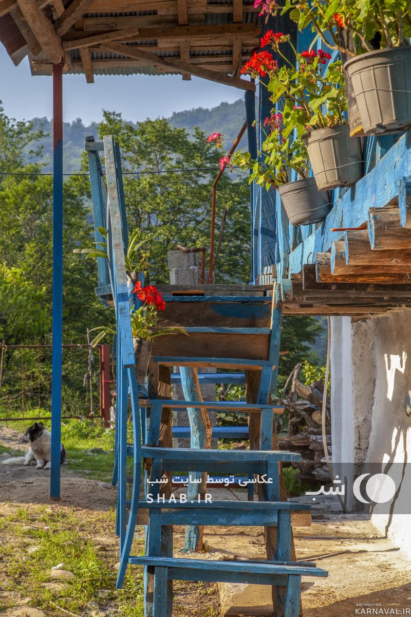 https://media.karnaval.ir/uploads/2022/07/house-2609-2021-08-23-07-04-57-359aed10da3a64061752e7a43dbe7a3ef55255c0-823453.jpg