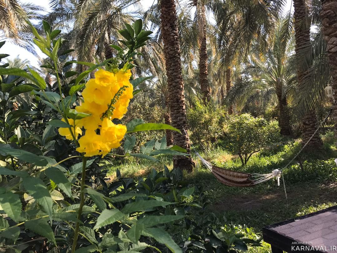 اقامتگاه بومگردی "ترنج بم" اتاق یاس