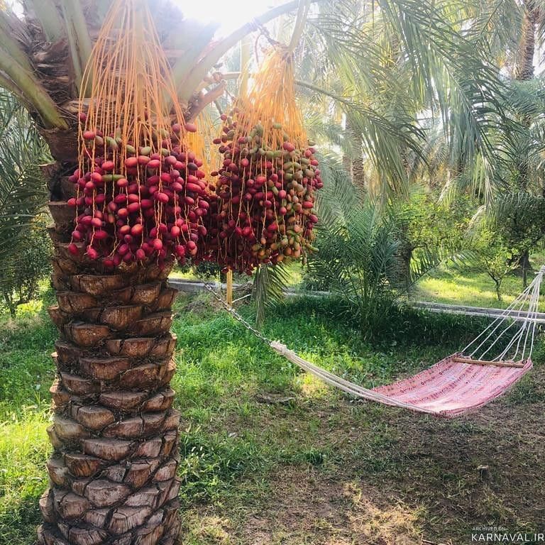 اقامتگاه بومگردی "ترنج بم" اتاق یاس