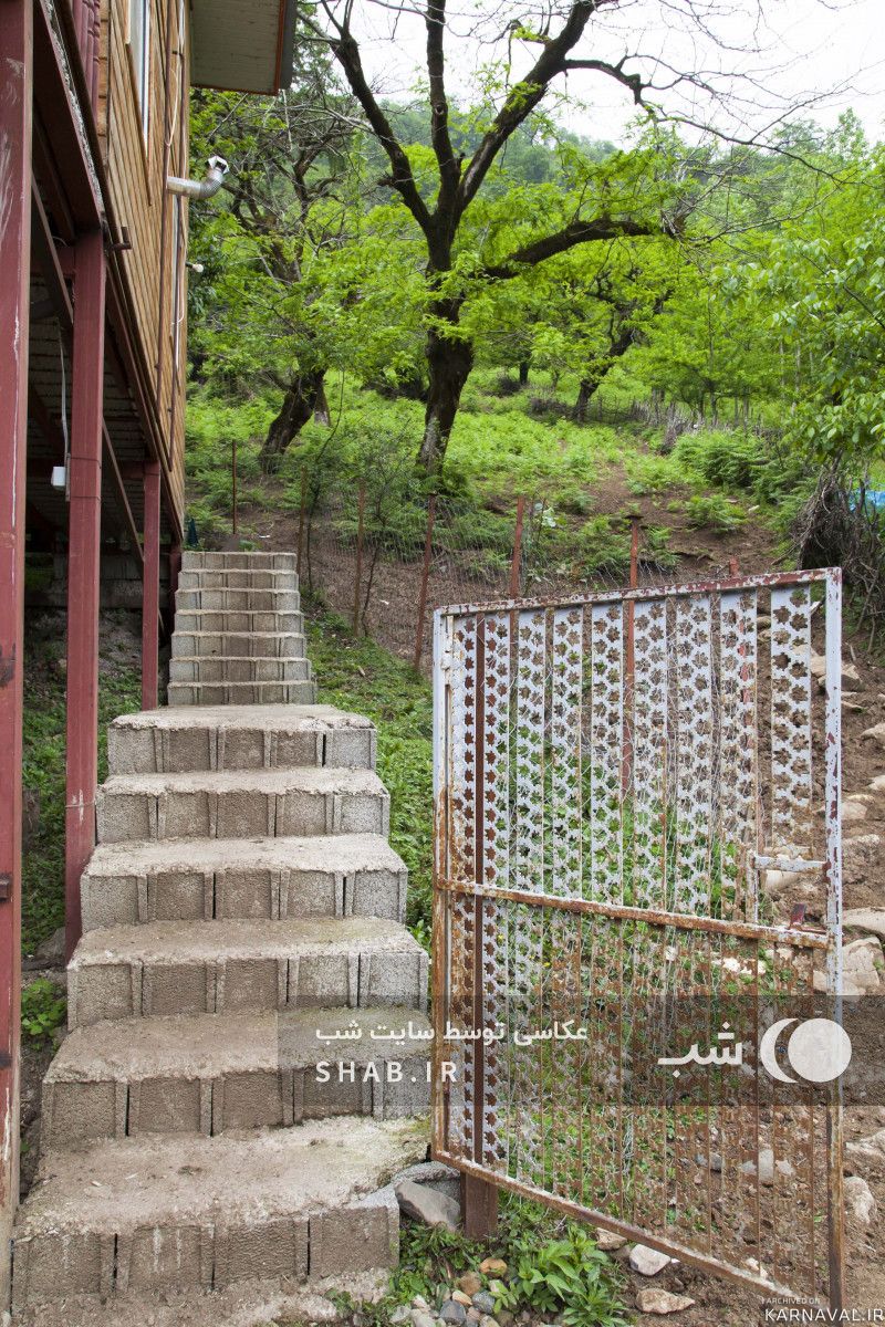 کلبه چوبی و جنگلی صفری طبقه اول