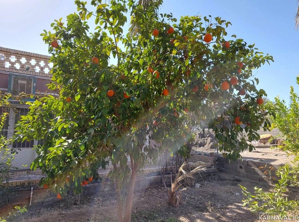 عمارت بوم‌گردی هوربانو "سوئیت مهتاب"