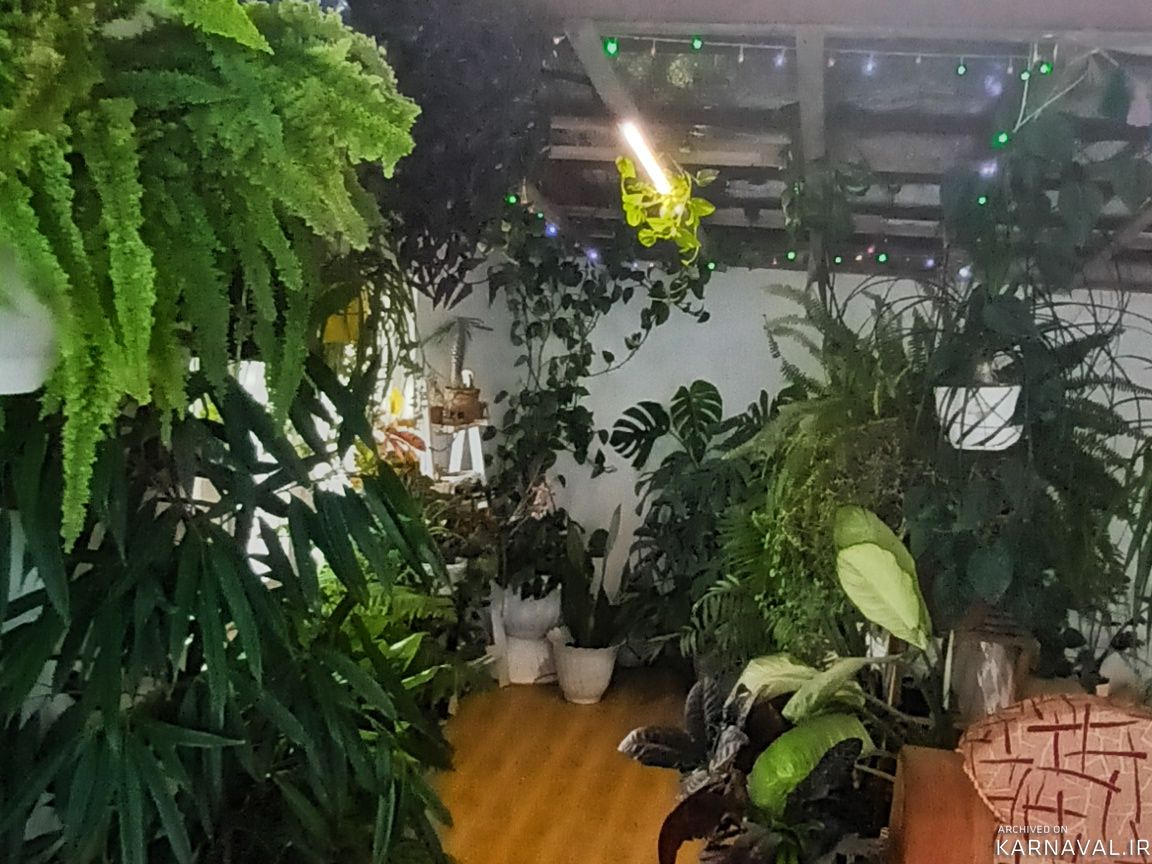 https://media.karnaval.ir/uploads/2023/06/house-72003-2023-06-11-10-57-09-f500945e84508b6f54e21e70865d1cb9bc8d876a-995927.jpg