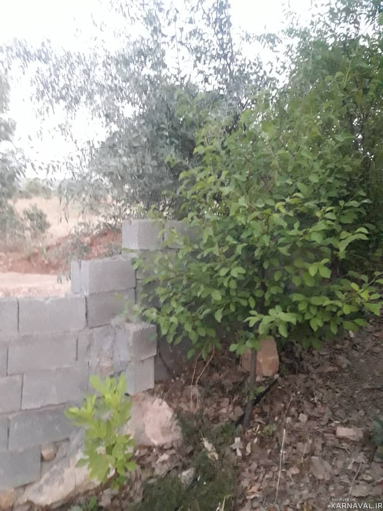 ویلای یک خوابه با درختان متنوع و فضای طبیعی