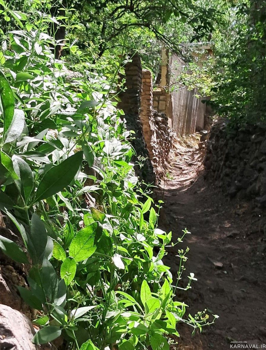 خانه باغ تک خواب دربست در محیطی آرام
