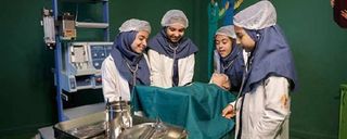 دکترلند دکترلند