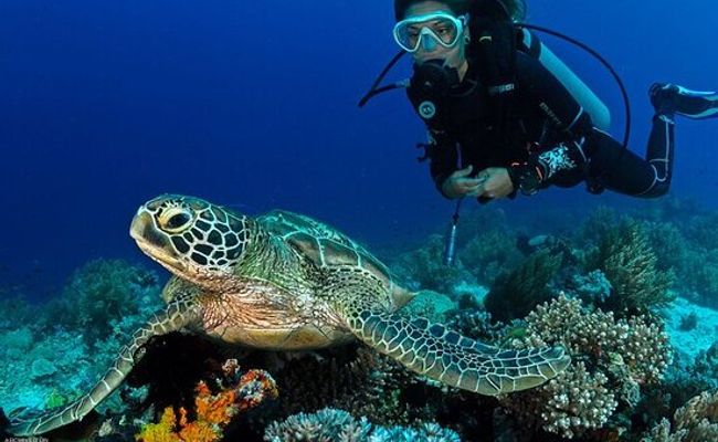 جزایر دیمانیات عمان جزایر دیمانیات عمان