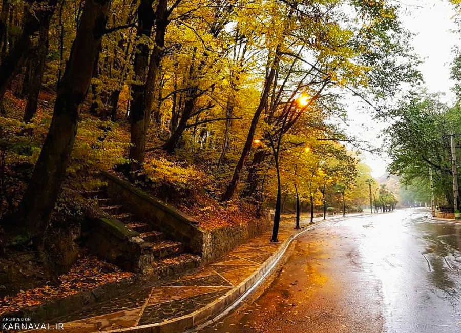   دیدنی‌ترین جنگل‌های پاییزی ایران
