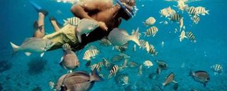 جزایر دیمانیات عمان جزایر دیمانیات عمان