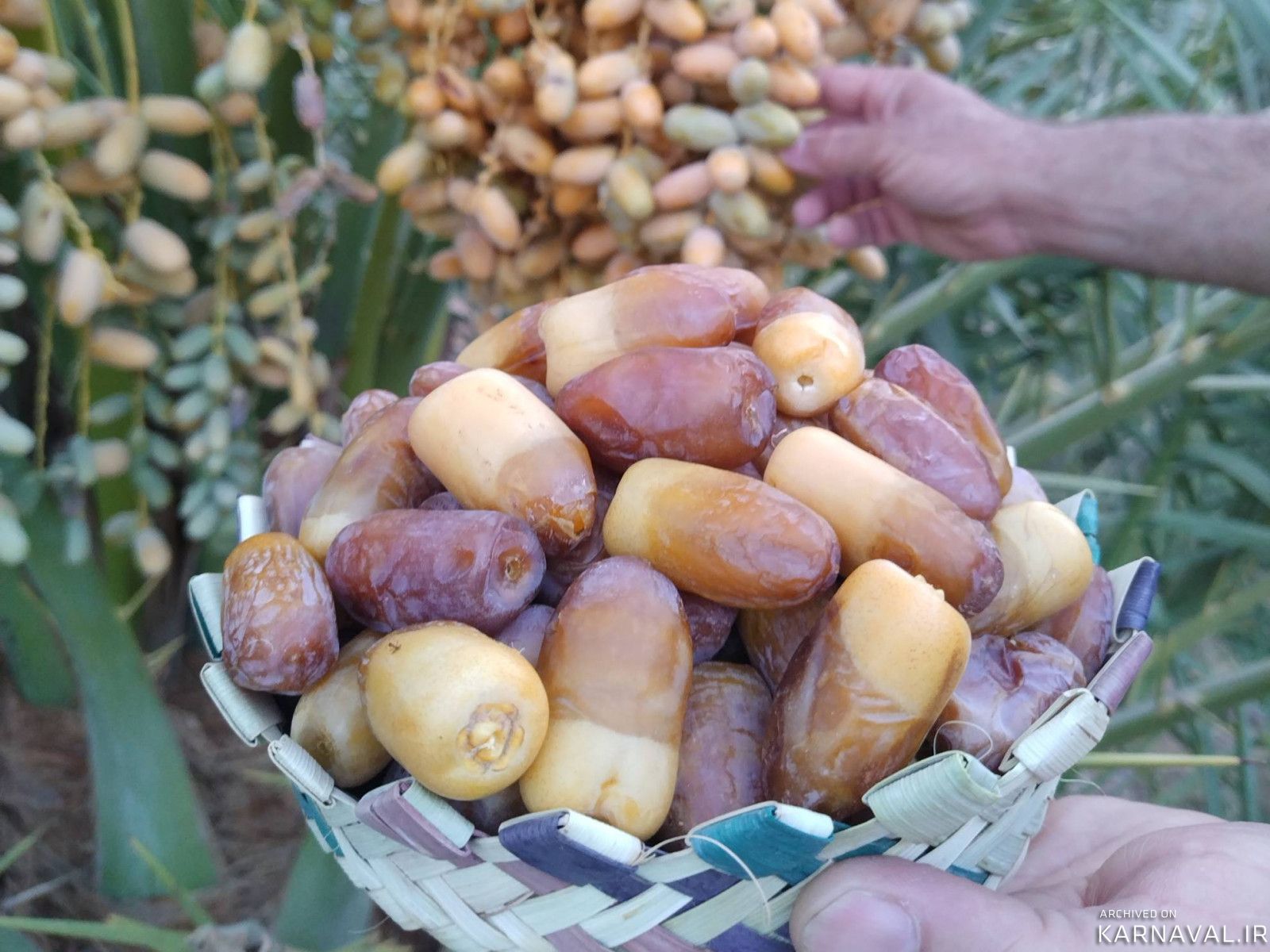 عمارت بوم‌گردی هوربانو "اتاق مهر"