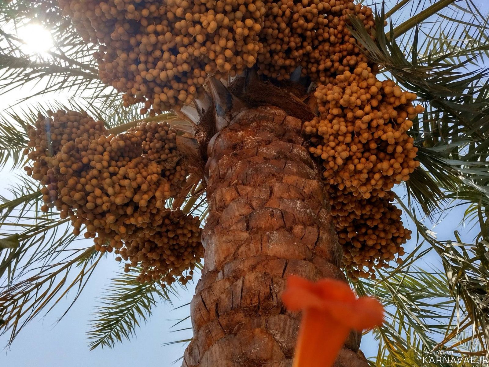 عمارت بوم‌گردی هوربانو "اتاق مهر"