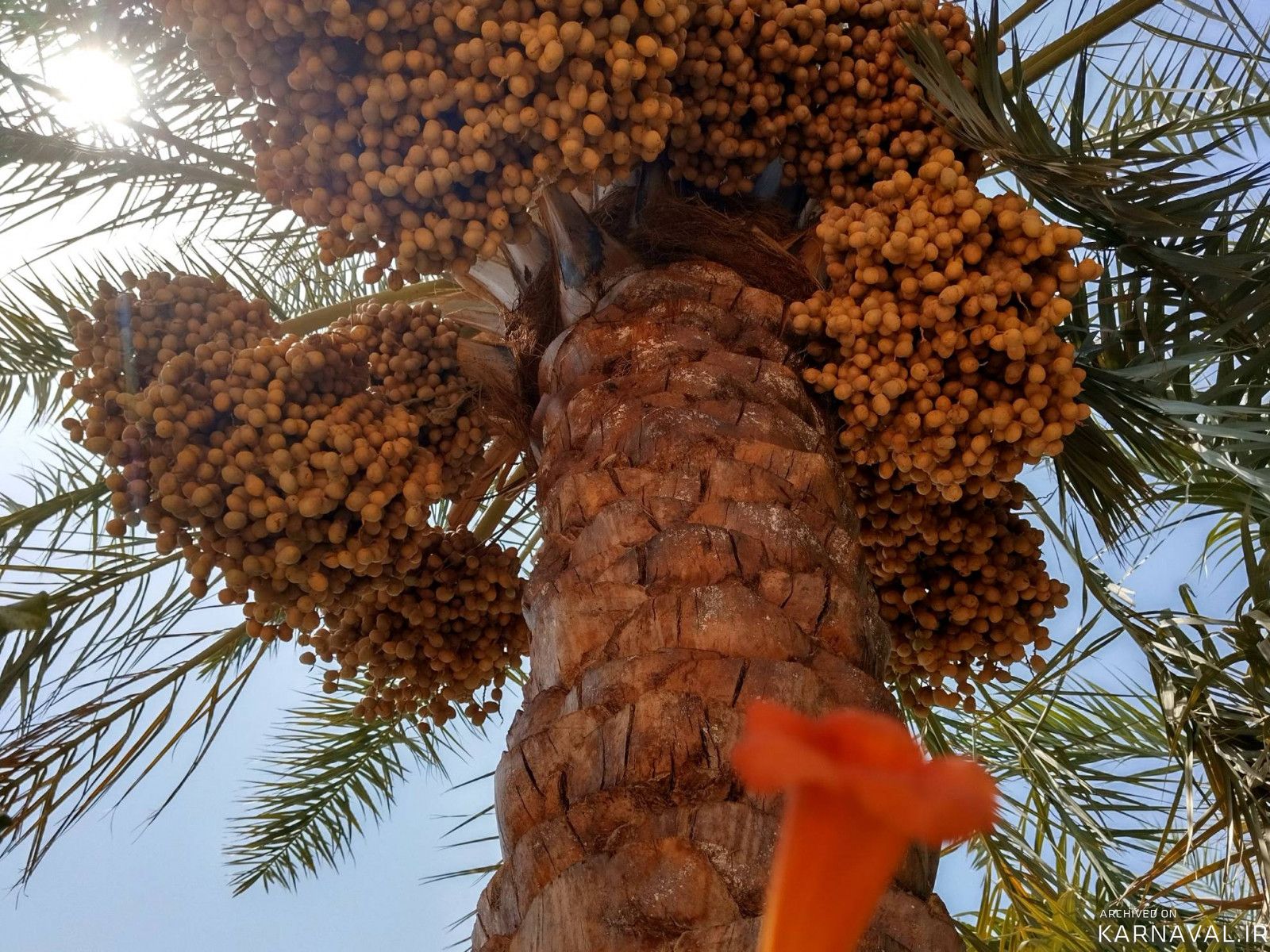عمارت بوم‌گردی هوربانو "سوئیت مهتاب"
