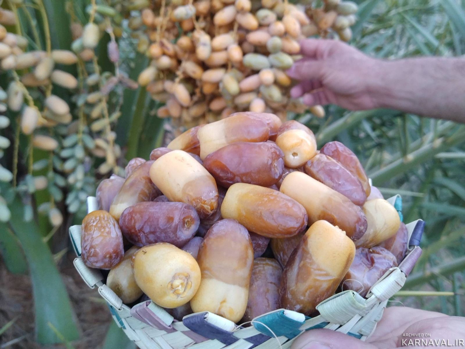 عمارت بوم‌گردی هوربانو "سوئیت مهتاب"