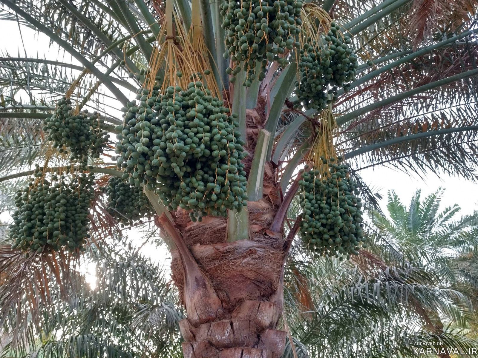 عمارت بوم‌گردی هوربانو "سوئیت بهار"