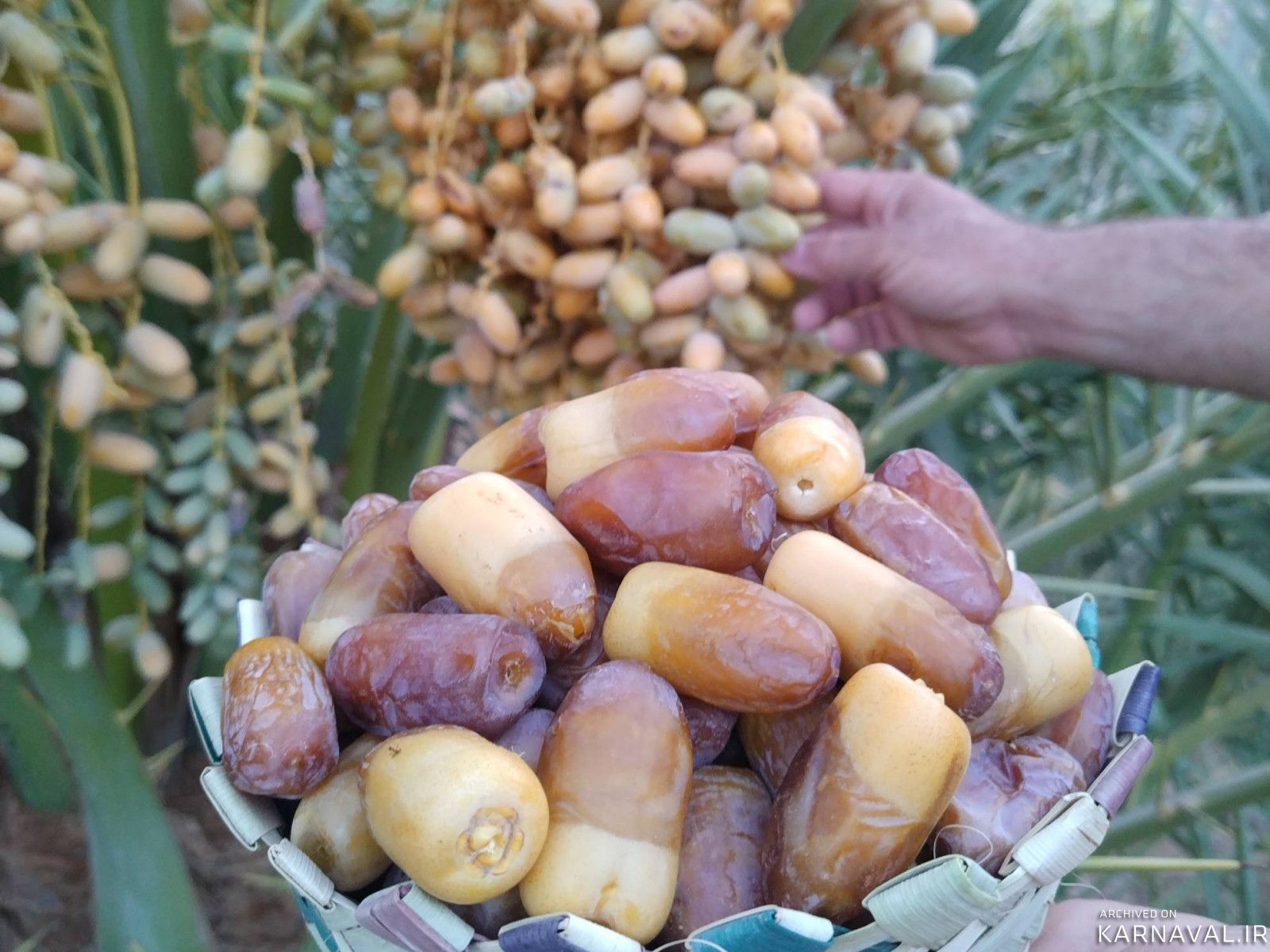 عمارت بوم‌گردی هوربانو "سوئیت بهار"